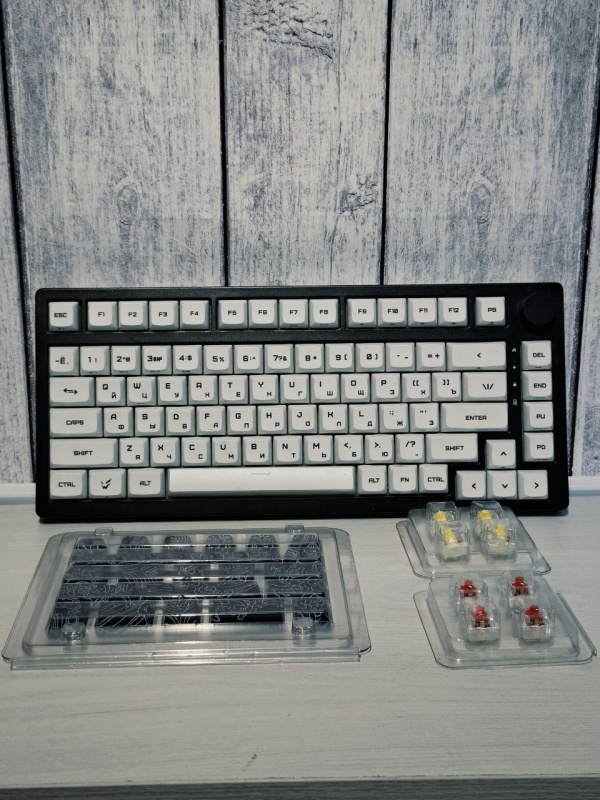 Клавиатура Ardor Gaming Patron 75